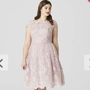 Chi Chi London Exquisite Lace Dress in Mink NWT